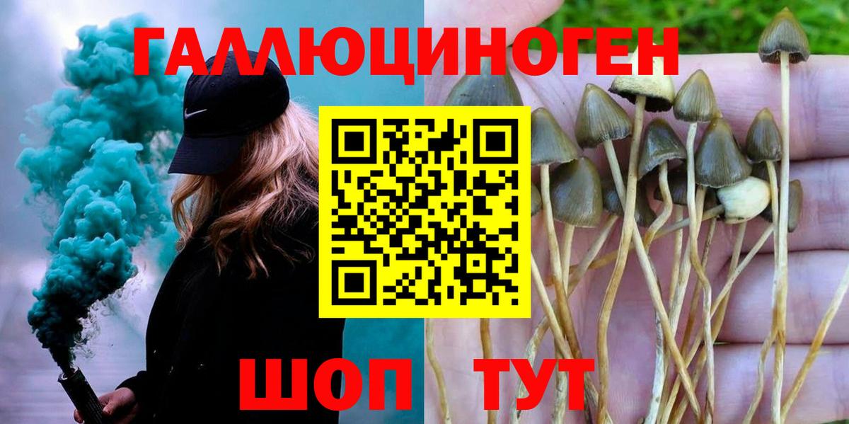 как найти закладки  Псилоцибиновые грибы Cubensis  Галлюциногенные грибы мухоморы  Вход с VPN  Щёлково 